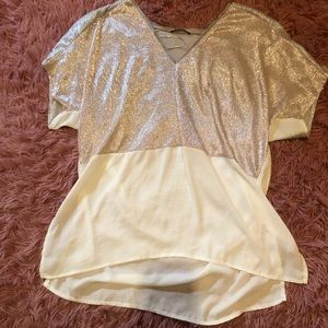 ZARA NEVER WORN size medium short sleeve women’s blouse with glitter